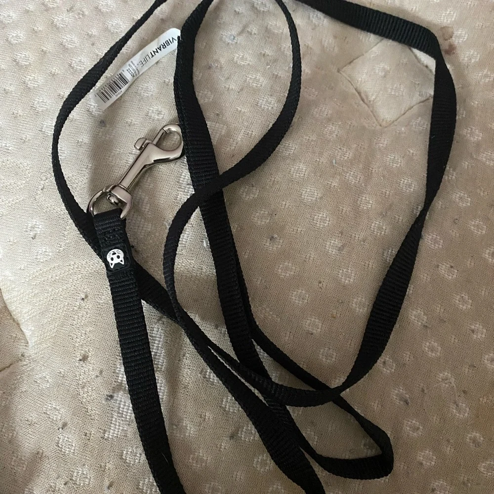 Cat Harness and Leash